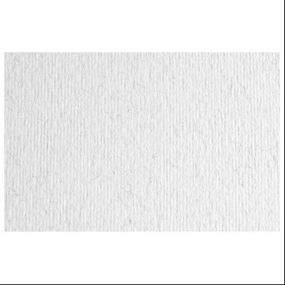 Papir u boji B1 220g Elle Erre Fabriano 46470129 prskano beli (brina)