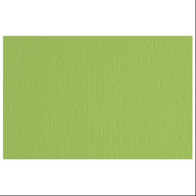 Papir u boji B1 220g Elle Erre Fabriano 46470110 zeleni (verde pisello)