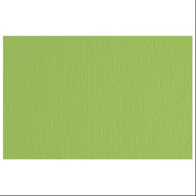 Papir u boji B2 220g Elle Erre Fabriano 42450710 zeleni (verde pisello)