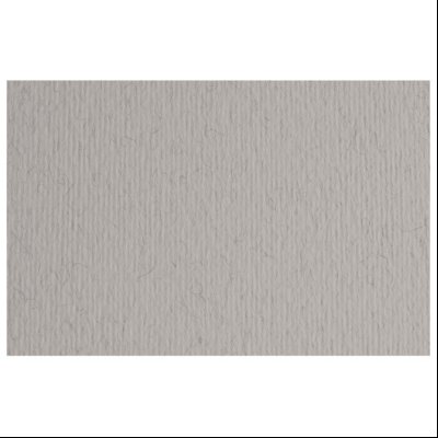 Papir u boji B1 220g Elle Erre Fabriano 46470130 svetlo sivi (china)