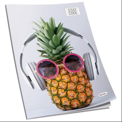 Sveska meki povez A4 linije 50L 80g Premium Connect 40333!!