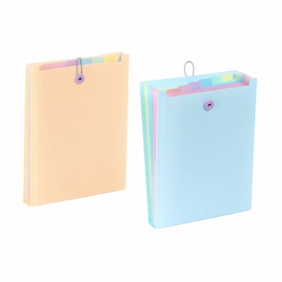 Expanding organizer sa 6 pregrada i gumicom USPRAVNI Rainbow Pastel