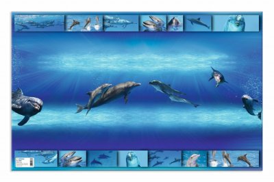 Podloga za sto 550x350 mm, DELFIN