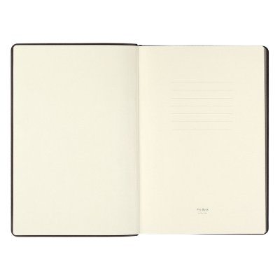 ALAMO, notes a5, crni