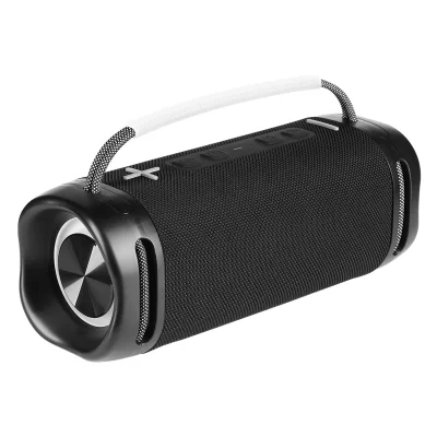 Vodootporni IPX7 bežični zvučnik, 30W FORTE